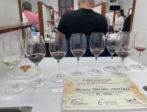 Una formación que vale un brindis, curso iniciación a la cata de vinos